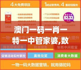 澳门一码一肖一特一中管家婆,数据资料解释落实_投入版388.6