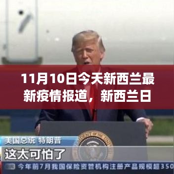 新西兰疫情最新动态，日常故事中的温馨时光与友情纽带
