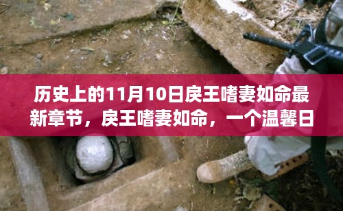 戾王嗜妻如命，温馨日常的趣事集——11月10日最新章节揭秘